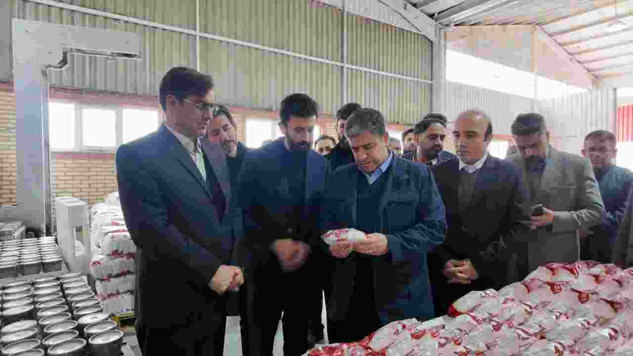 کارگروه تسهیل و رفع موانع تولید استان اردبیل از ۵ واحد صنعتی بازدید کرد 